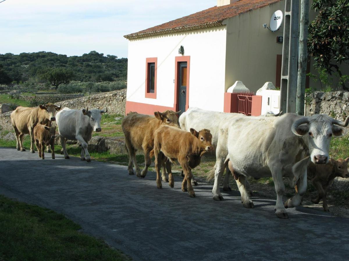 Casas Da Estacao, Country Houses Marvão Szoba fotó
